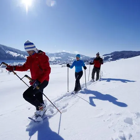 Sinswang Am Hochgrat *